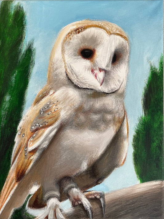 Owl Canvas Painting